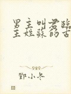 男主叫君临渊女主姓苏的古言小说封面