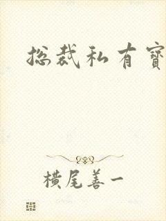 总裁私有宝贝