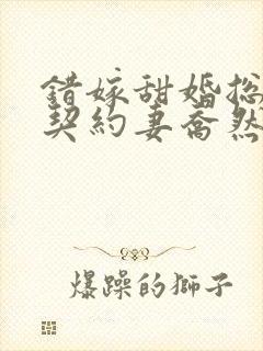 错嫁甜婚总裁的契约妻乔然