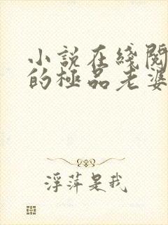 小说在线阅读我的极品老婆