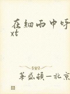 在细雨中呼喊txt