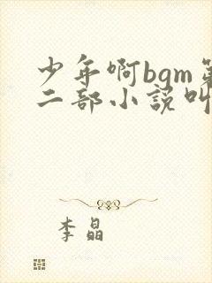 少年啊bgm第二部小说叫什么