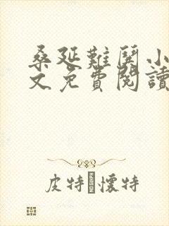 桑延难哄小说全文免费阅读封面