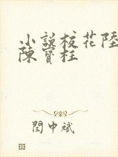小说校花陆冰嫣陈宝柱