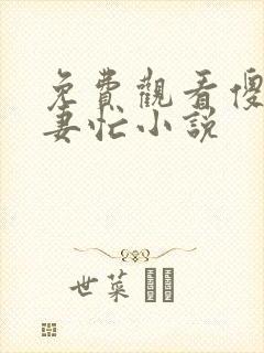 免费观看傻夫追妻忙小说