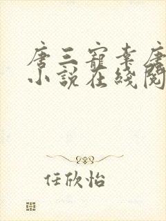 唐三宠幸唐舞桐小说在线阅读