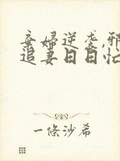 弃妇逆袭,邪王追妻日日忙