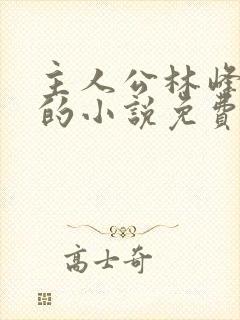主人公林峰宁欣的小说免费阅读