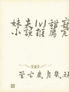 妹夫1v1甜宠小说推荐完结免费