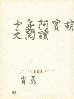 少年阿宾胡太全文阅读