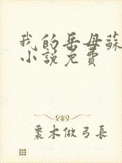 我的岳母苏沛真小说免费