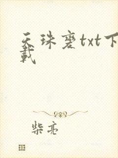 天珠变txt下载封面