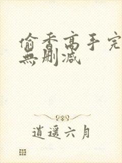 偷香高手完整版无删减封面