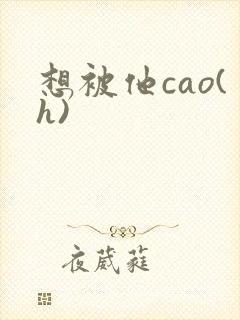 想被他cao(h)