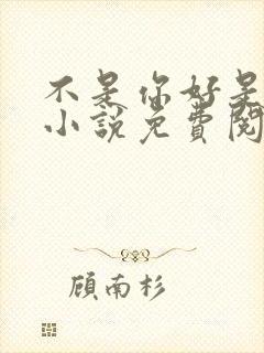 不是你好是我好小说免费阅读