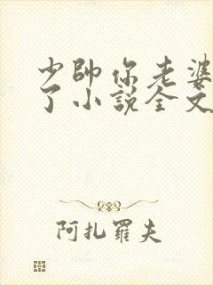 少帅你老婆又跑了小说全文阅读