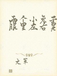 两个小兔子在衣服里左右晃