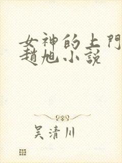 女神的上门豪婿赵旭小说