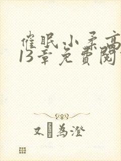 催眠小柔高达第13章免费阅读