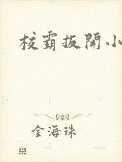 校霸扳开小班长封面