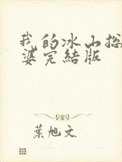 我的冰山总裁老婆完结版