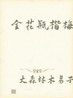金花瓶楷梅花2