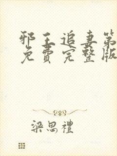 邪王追妻第三季免费完整版