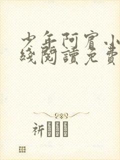 少年阿宾小说在线阅读免费全文