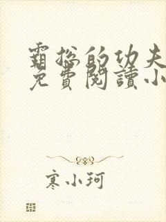 霸总的功夫女友免费阅读小说全文