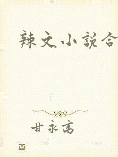 辣文小说合集