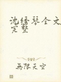 沈绣琴全文阅读完整封面