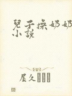 儿子操奶奶的逼小说