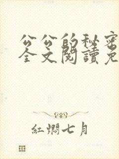 公公的秘密小说全文阅读免费封面