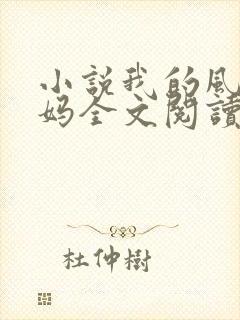小说我的风流妈妈全文阅读