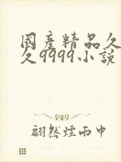 国产精品久久久久9999小说