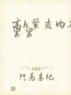 高h荤爽肉欲文男男