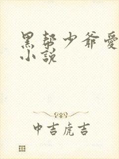黑帮少爷爱上我小说封面