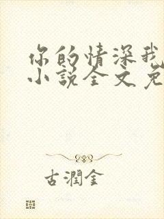 你的情深我不配小说全文免费阅读全文