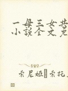一母三女共一婿小说全文免费阅读封面