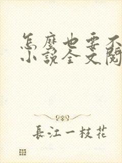 怎么也要不够她小说全文阅读