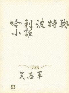 哈利波特与密室小说