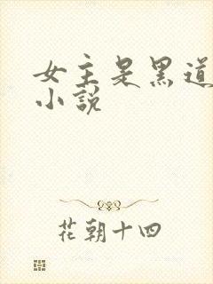 女主是黑道大佬小说封面