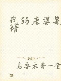 我的老婆是狐狸精