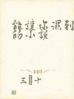 能让你湿到不行的小说