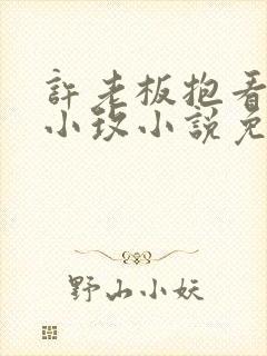 许老板抱看书的小玫小说免费阅读封面