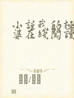 小说我的极品老婆在线阅读全文