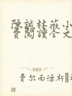 陈诚林薇小说免费阅读全文最新章节