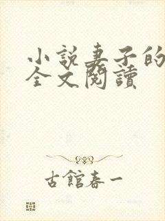 小说妻子的自述全文阅读