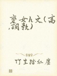 变女h文(高h,调教)