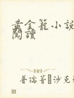 黄金笼小说免费阅读